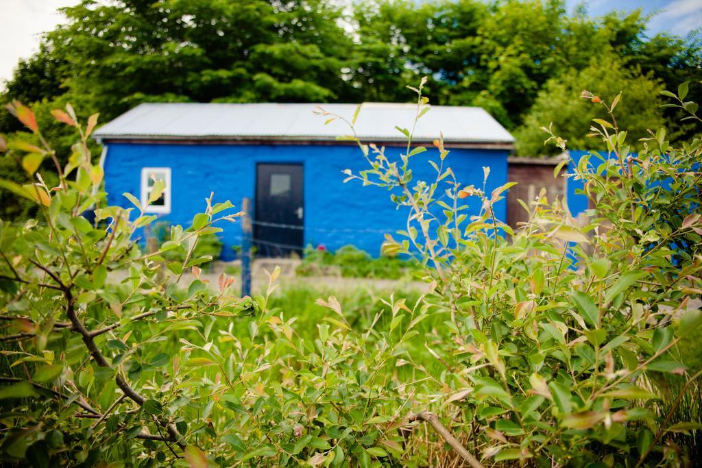 The Snowdon Inn - Y Fricsan Cwm-y-glo Pokój zdjęcie